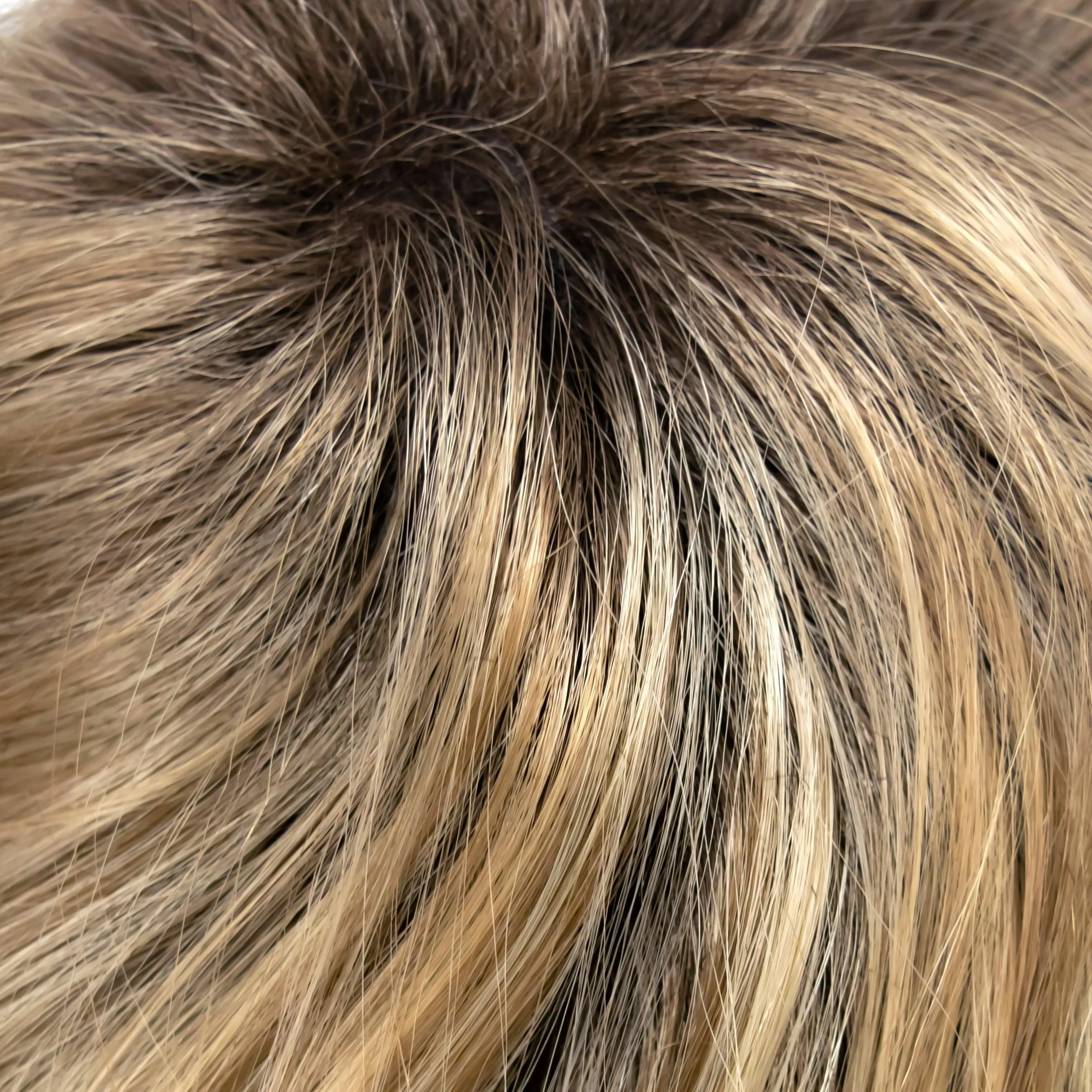 Alexa Wig by WigPRO | Synthetic (Lace Front Mono)
