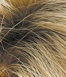 Brady Wig by Estetica Designs | Synthetic (Basic Cap)