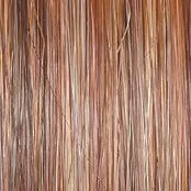 Cruise Control  Wig by Raquel Welch | Mono Part