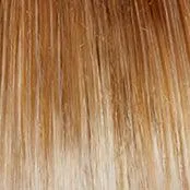 Glamorize Always Wig by Gabor | Heat Friendly Synthetic Lace Front