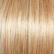 Glamorize Always Wig by Gabor | Synthetic Lace Front (Mono Part)