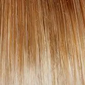 Glamorize Always Wig by Gabor | Synthetic Lace Front (Mono Part)
