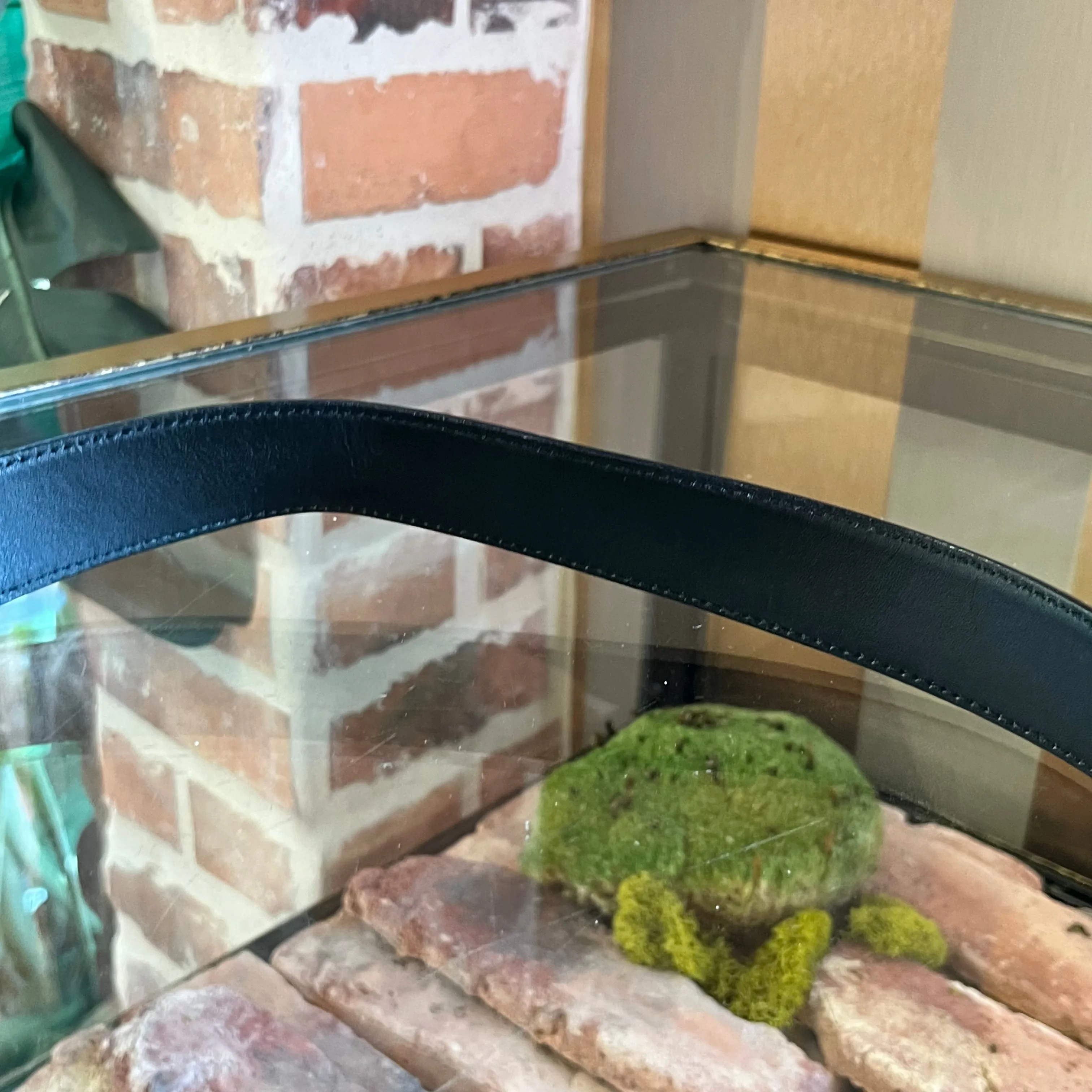 GUCCI Interlocking G Monogram Canvas Leather Belt SZ75/30(2US)