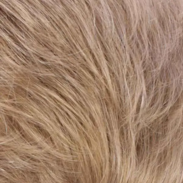 Hallie Wig by Estetica Designs | Synthetic (100% Hand Tied Front Lace Traditional Cap)