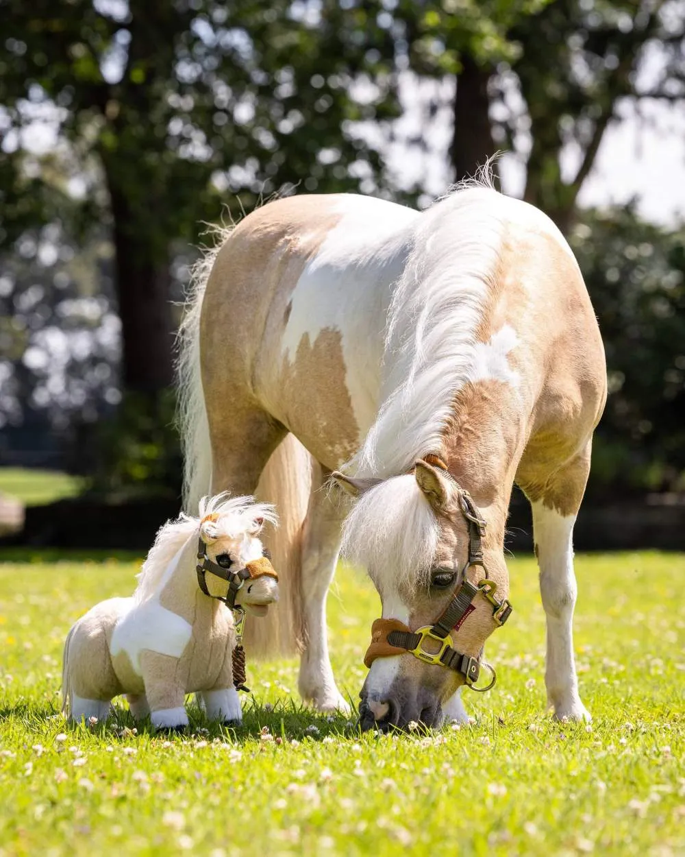 LeMieux Toy Pony Lemon