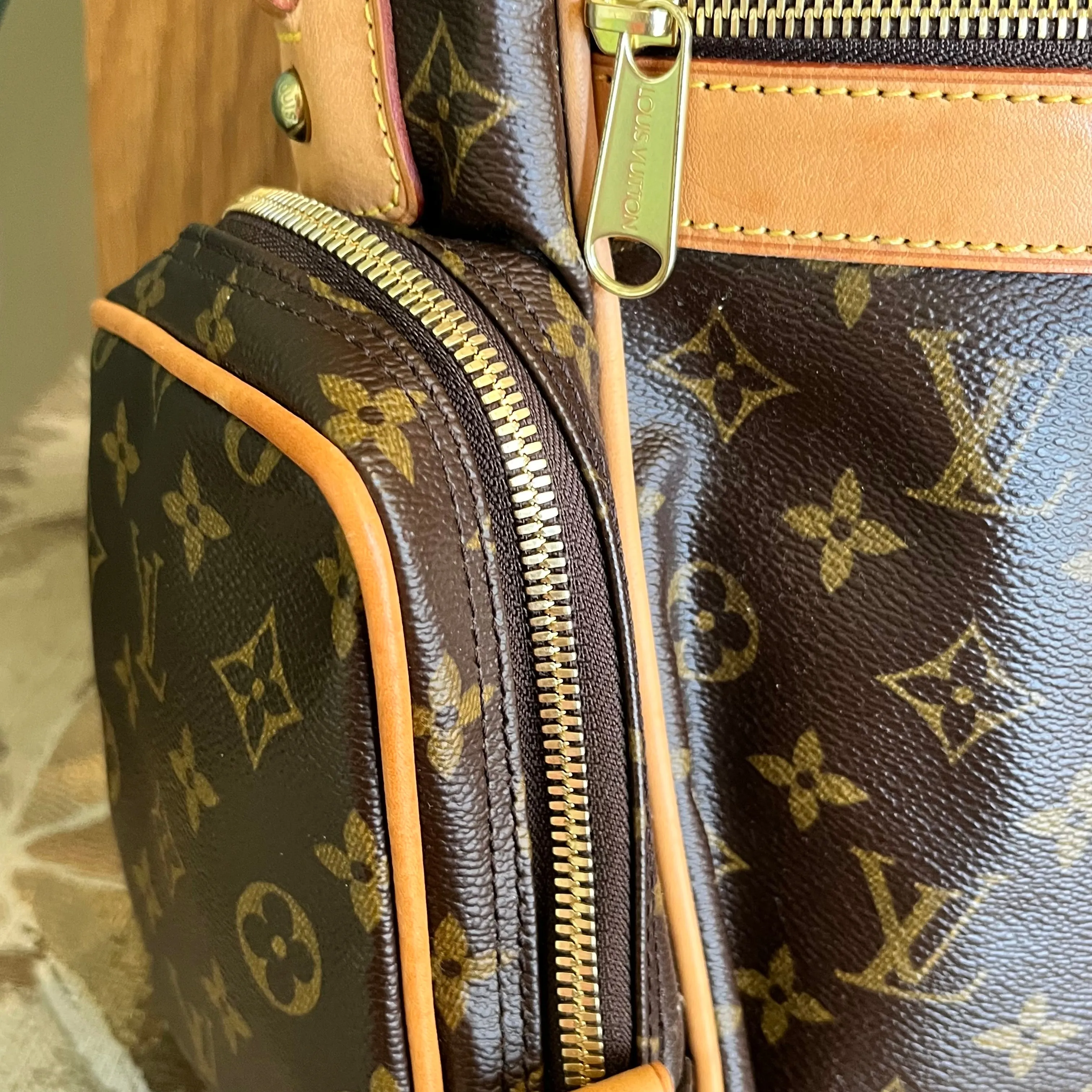 LOUIS VUITTON Sac Squash Monogram Canvas Crossbody Bag