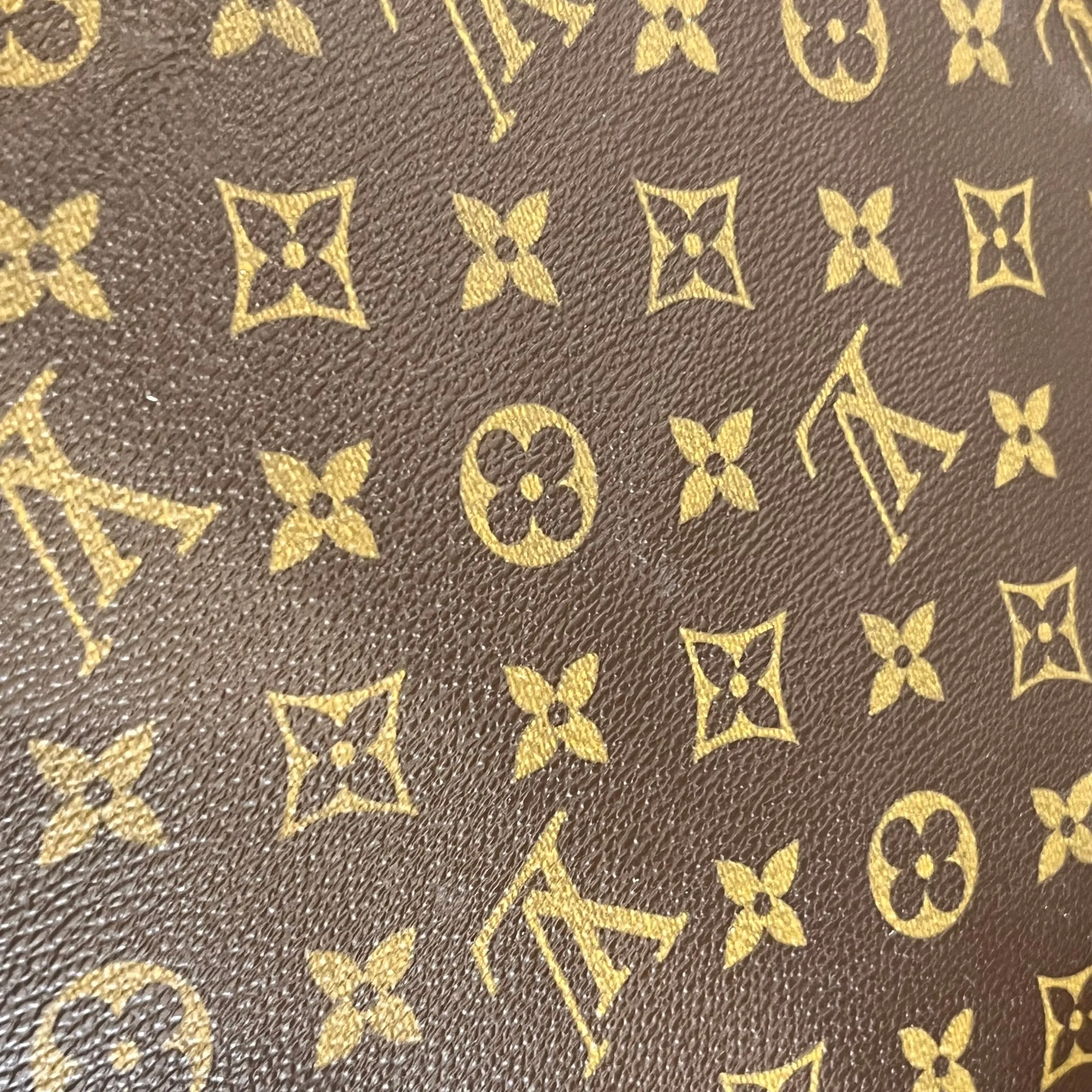 LOUIS VUITTON Sac Squash Monogram Canvas Crossbody Bag
