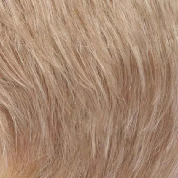 Petite Valerie  Wig by Estetica Designs | Synthetic (Lace Front)