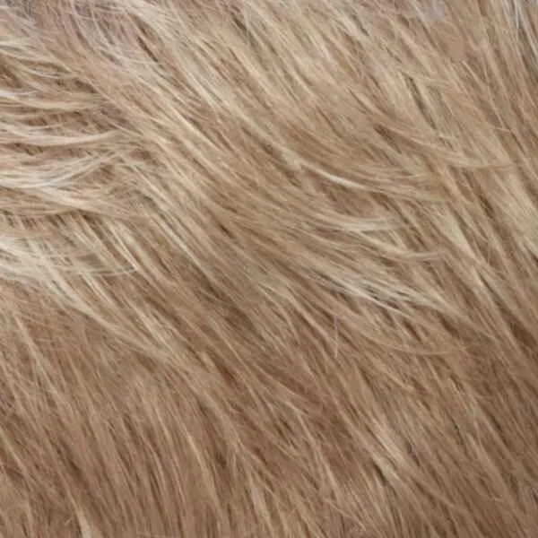 Petite Valerie  Wig by Estetica Designs | Synthetic (Lace Front)