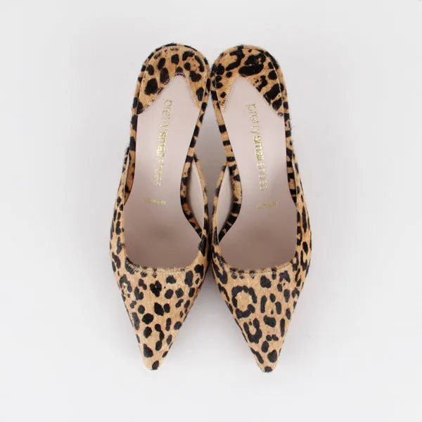 ROOKY - leopard